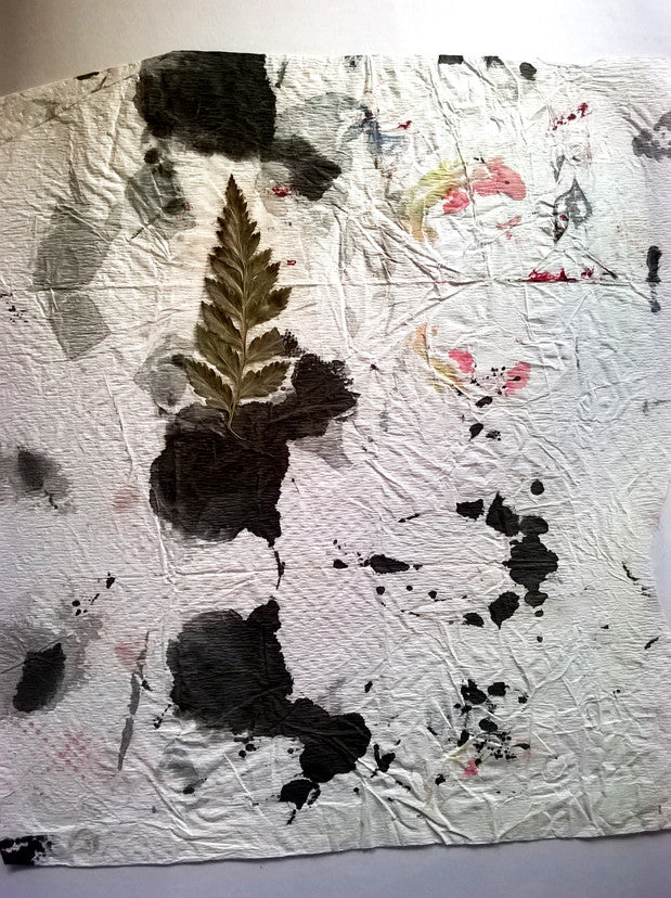 Freezing Time Collage